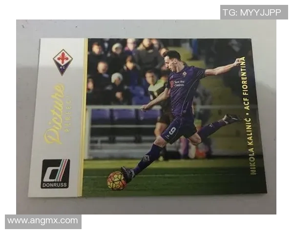 帕尼尼足球球星卡代签名收藏价值分析与市场趋势探讨 帕尼尼足球球星卡代签名收藏价值分析与市场趋势探讨